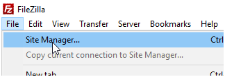 Click File, then Site-Manager.